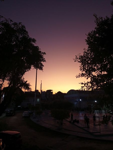 Brenda de Carvalho Mar