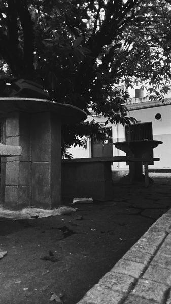 JESSICA DE OLIVEIRA COELHO