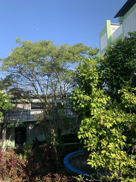 LUCIANA PITA DE JESUS